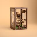 Woodland Jumping Spider Enclosure Kit – 6.