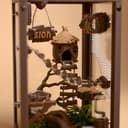 Woodland Jumping Spider Enclosure Kit – 7.