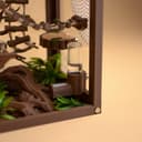 Woodland Jumping Spider Enclosure Kit – 10.