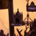 Gothic Jumping Spider Enclosure Kit – 8.