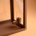 Jumping Spider Enclosure – Empty Terrarium – 8.