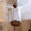 Personalized Jumping Spider Name Sign – 8.