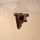 Corner Log Hide for Jumping Spider – 7.