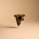 Corner Log Hide for Jumping Spider – 3.