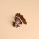 Magnetic Mushroom Ledge for Jumping Spiders – 6.