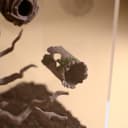 Magnetic Hollow Log Hide for Jumping Spiders – 6.
