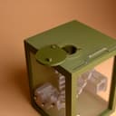 Mayan Mini Jumping Spider Terrarium – 4.