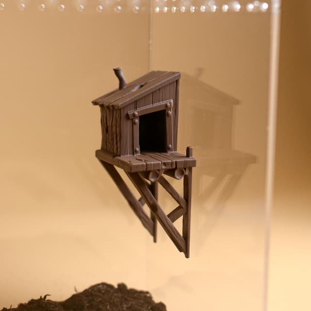 Magnetic Woodland Cabin Hide for Jumping Spider