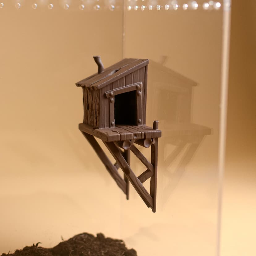 Magnetic Woodland Cabin Hide for Jumping Spider