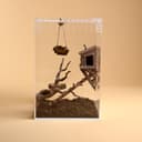 Magnetic Woodland Cabin Hide for Jumping Spider – 8.