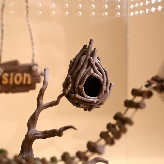 Cozy Nest Hide for Jumping Spider