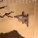 Magnetic Jumping Spider Feeding Ledge – 2.