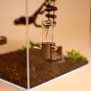 Magnetic Jumping Spider Water Feeder – 3.