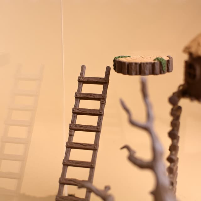 Mini Wooden Ladder for Jumping Spider