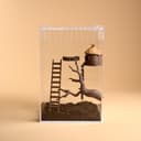 Mini Wooden Ladder for Jumping Spider – 5.