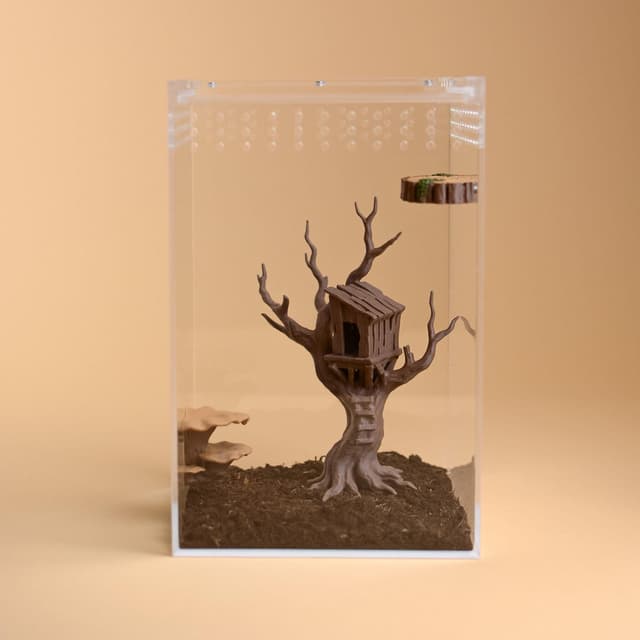 Treehouse Hide for Jumping Spiders