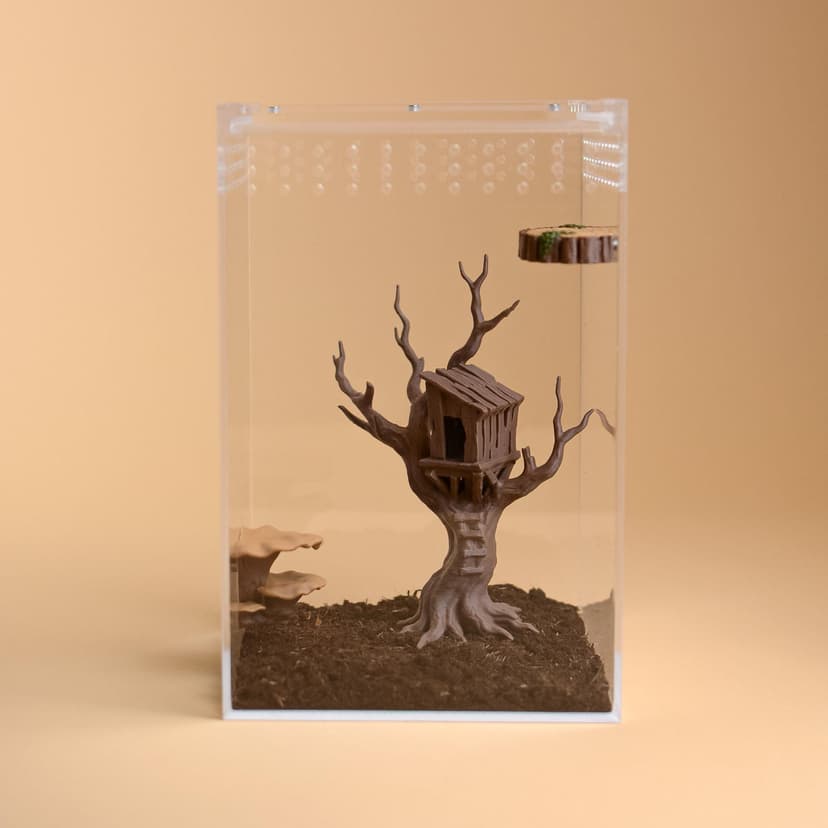 Treehouse Hide for Jumping Spiders