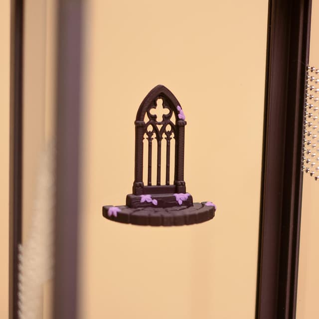 Gothic Cathedral Window Jumping Spider Ledge
