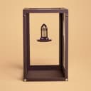 Gothic Cathedral Window Jumping Spider Ledge – 3.