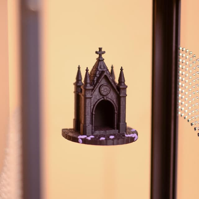 Gothic Chapel Jumping Spider Hide