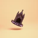 Gothic Chapel Jumping Spider Hide – 2.