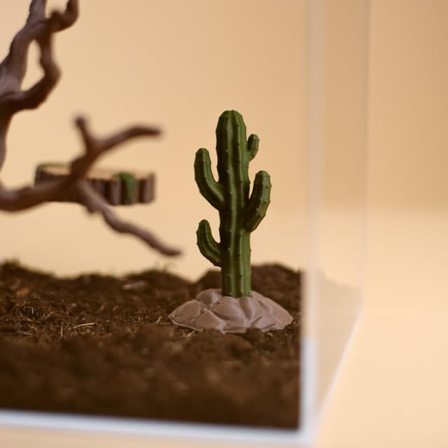 Mini Desert Cactus Decor