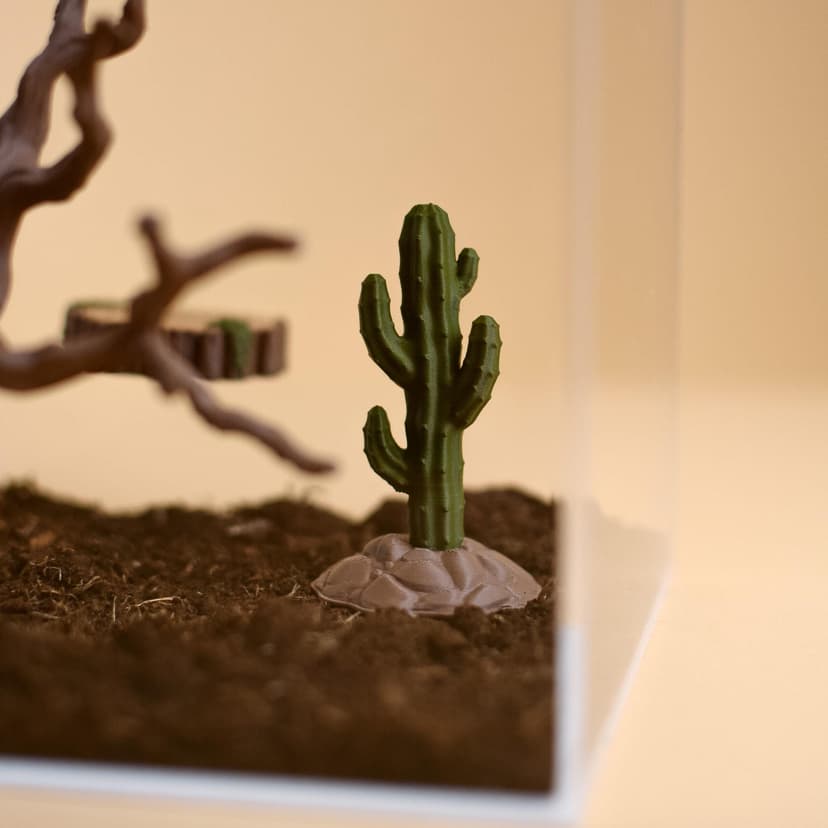 Mini Desert Cactus Decor