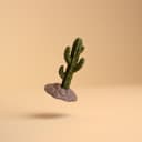 Mini Desert Cactus Decor – 2.