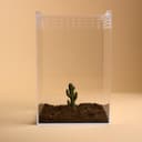 Mini Desert Cactus Decor – 7.