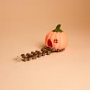 Pumpkin House Hide with Rope Ladder – 3.