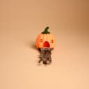Pumpkin House Hide with Rope Ladder – 4.