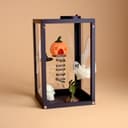 Halloween Terrarium Decor Set – 2.
