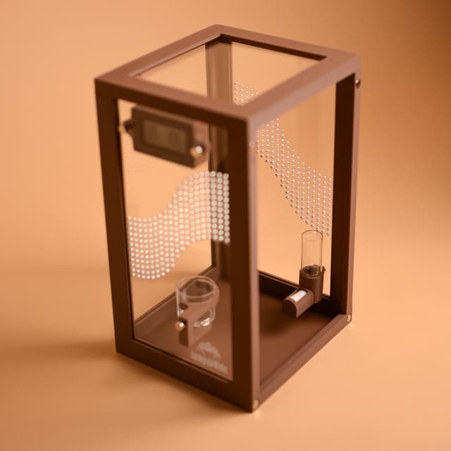 Jumping Spider Enclosure – Empty Terrarium