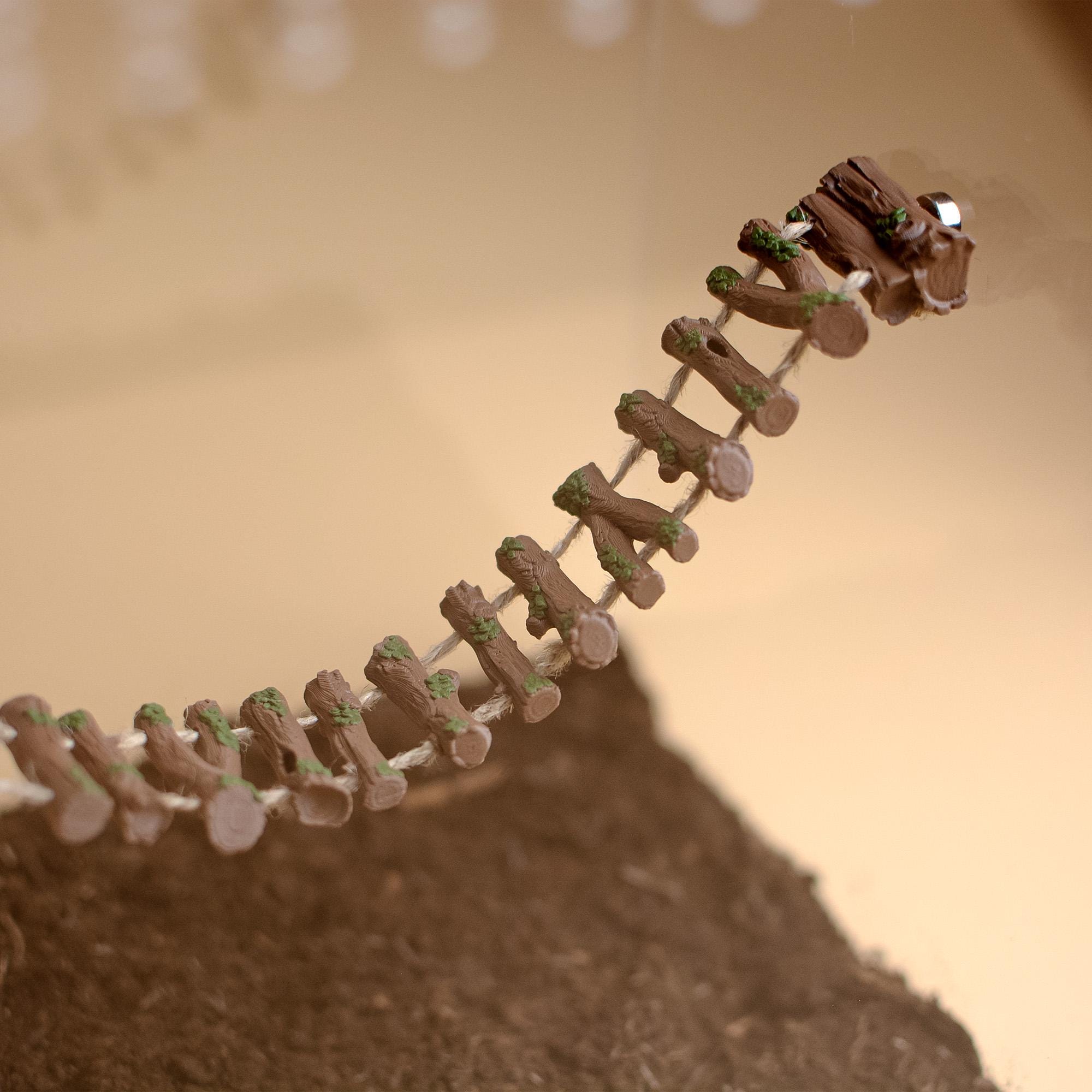 Magnetic Rope Bridge