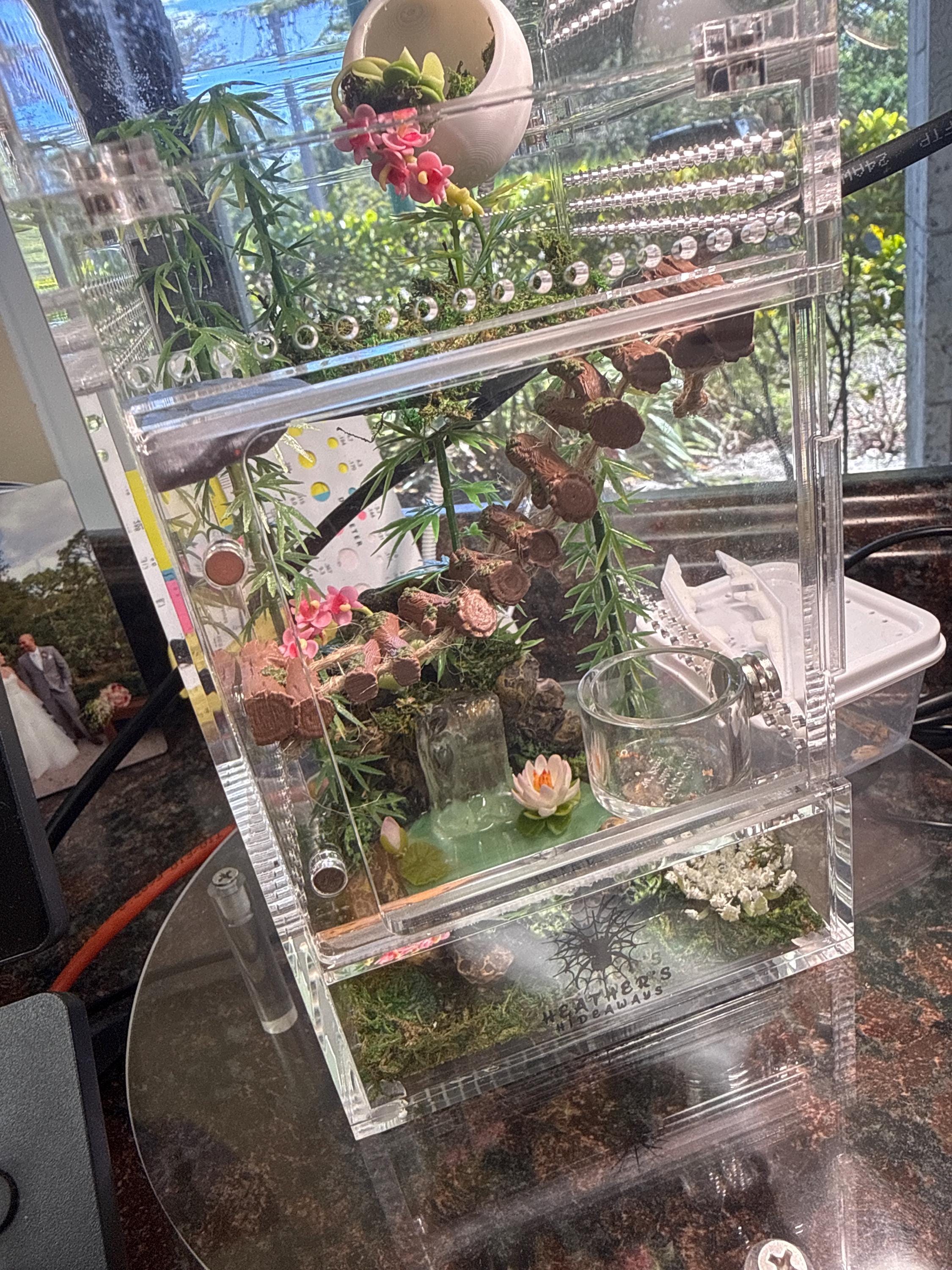 Customer photo